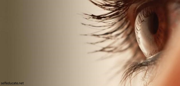 What causes eye blight
