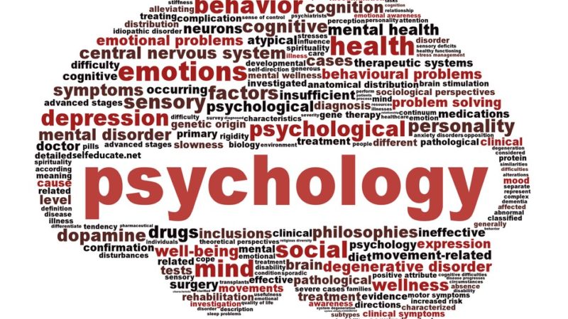 Top 10 facts about psychology
