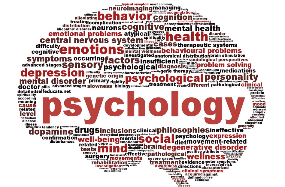 Top 10 facts about psychology