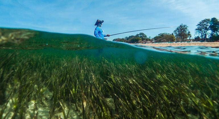 Sustainable blue economy vital for small countries and coastal populations |