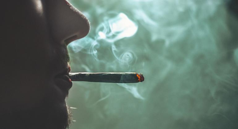 UN drug report shines light on cannabis, cocaine and methamphetamine trends |