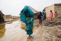 Pakistan: WHO warns of significant health risks as floods continue |