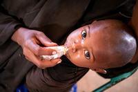 Catastrophic hunger levels leave 500,000 children at risk of dying in Somalia |