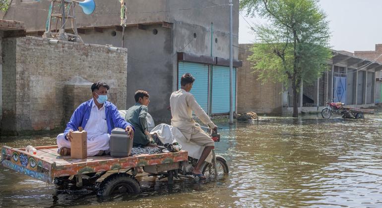 Public health risks increasing in flood-affected Pakistan, warns WHO |