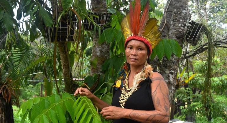 ‘We are not afraid’: Indigenous Brazilian women stand up to gender violence